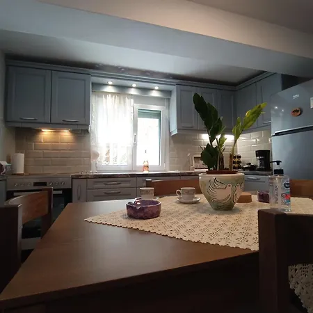 Filippia's House 公寓 斯科派洛斯